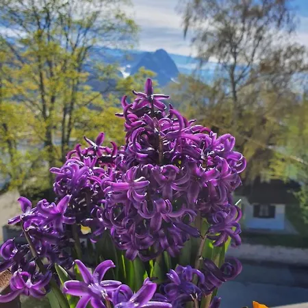 アパート Haus Erika 1911 - Wetterstein *