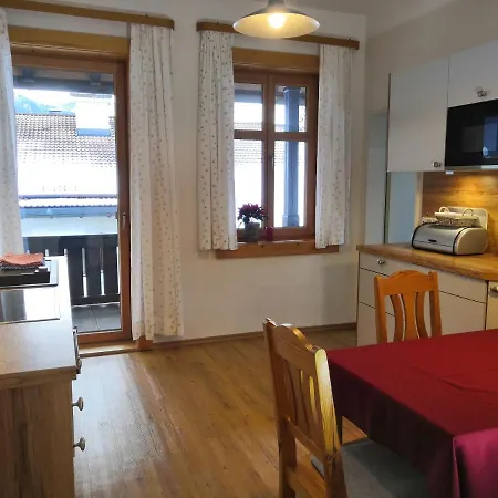 Haus Erika 1911 - Wetterstein アパート *